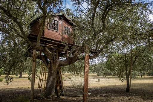 Dicas para construir uma casa na árvore com segurança