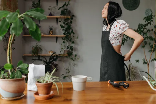 Dicas para criar um jardim suspenso incrível