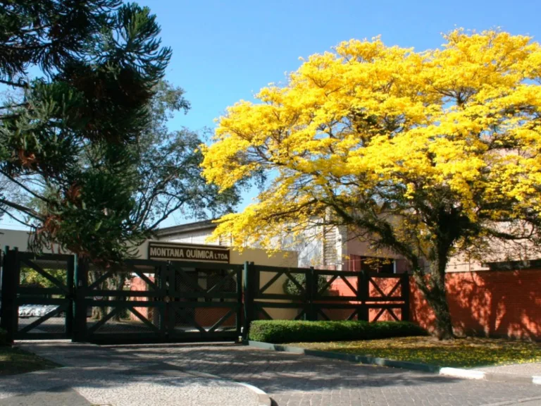 Fachada da unidade fabril da Montana Química com um Ipê-amarelo florido em destaque à frente do portão de entrada.